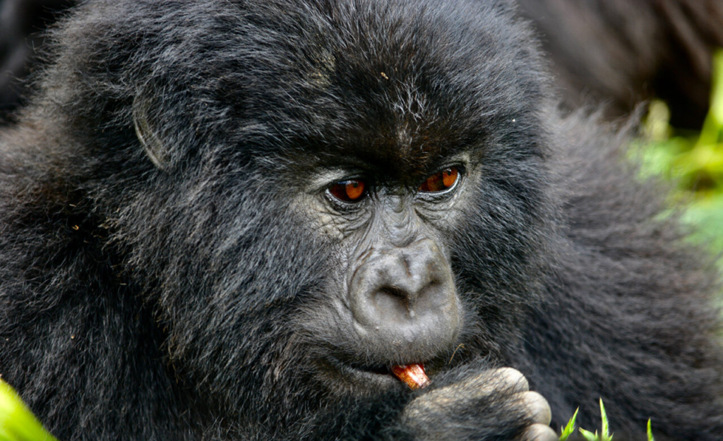 People Culture & Communities of Africa: Snack Time, Gabriela Potgieter
